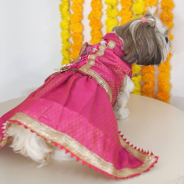 Pawgy Pets Brocade Lehenga For Dog - Pink