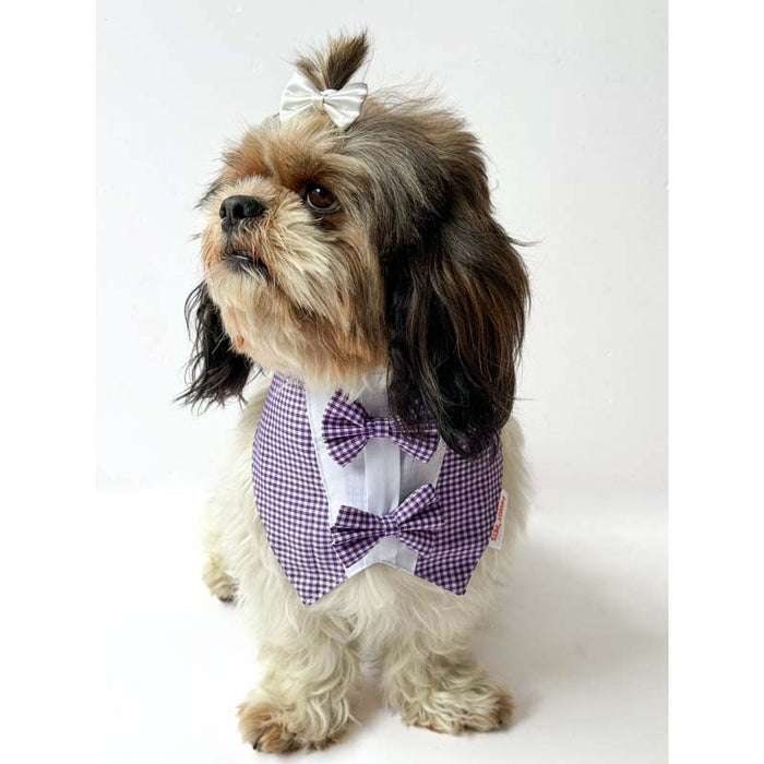 Pawgy Pets Casual Check Bandana for Dog - Purple