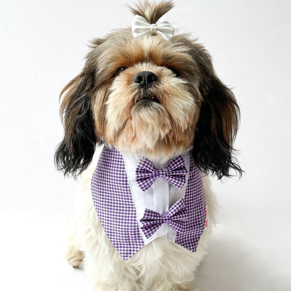 Pawgy Pets Casual Check Bandana for Dog - Purple