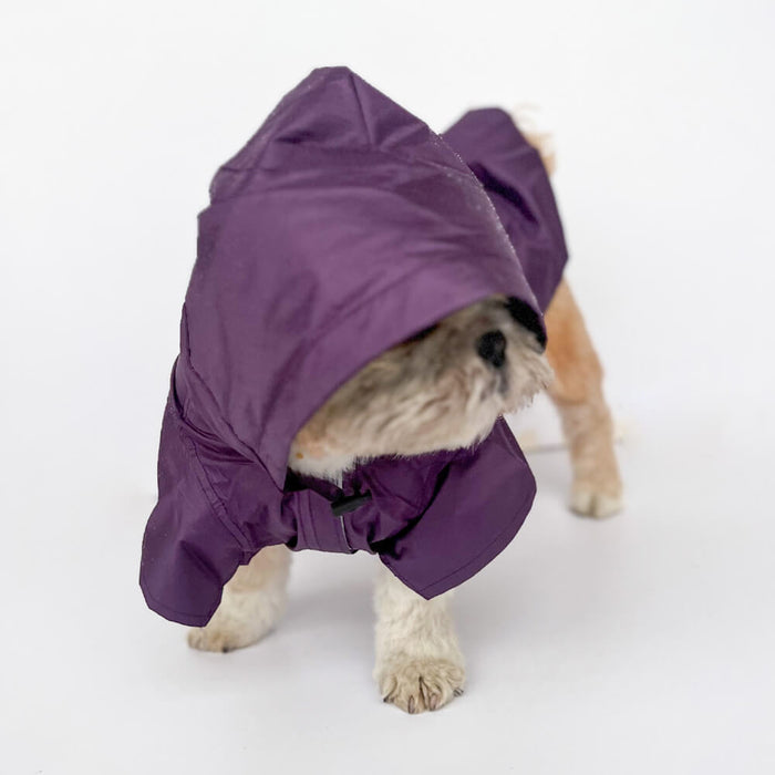 Pawgy Pets Purple Raincoat For Dog