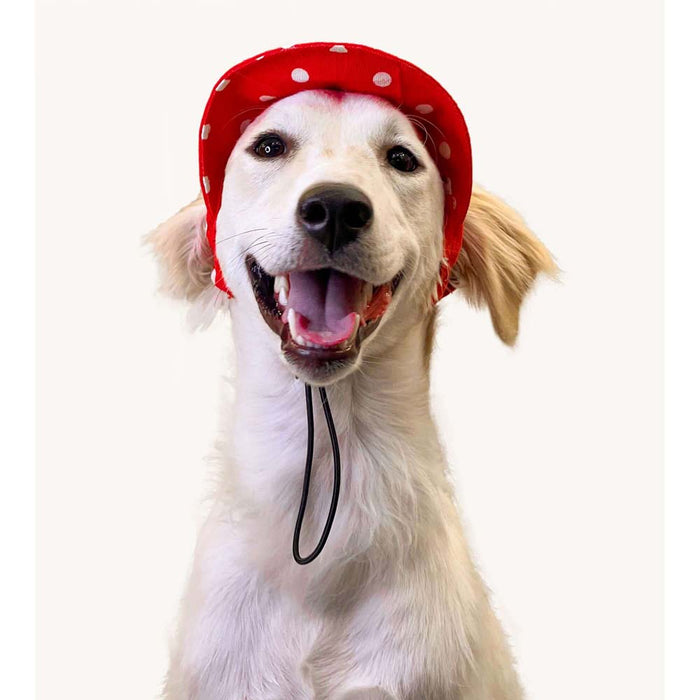 Pawgy Pets Red Polka Cap for Dog