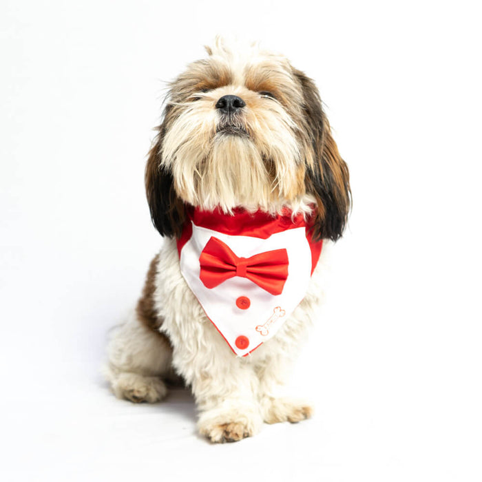 Pawgy Pets Tuxedo Bandana For Dog - Red