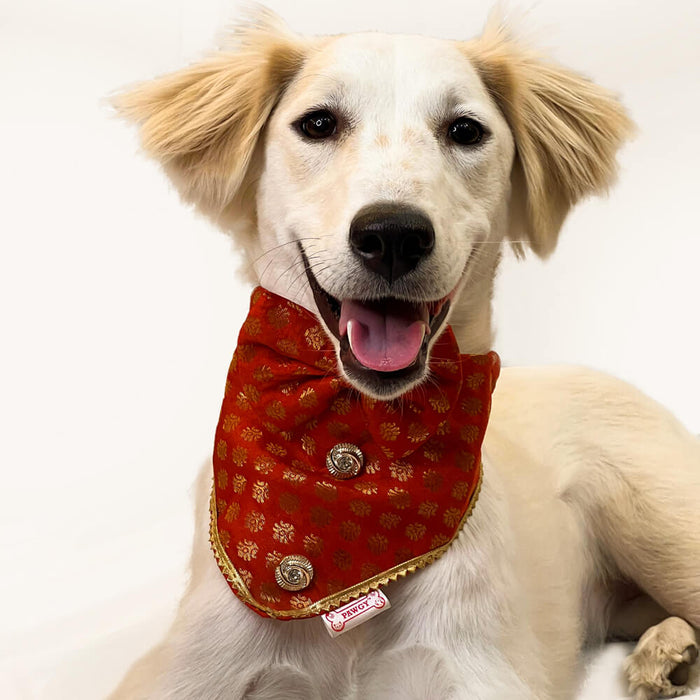 Pawgy Pets Occasion wear Bow Bandana For Dog - Red