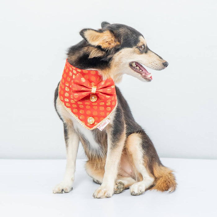 Pawgy Pets Occasion wear Bow Bandana For Dog - Red