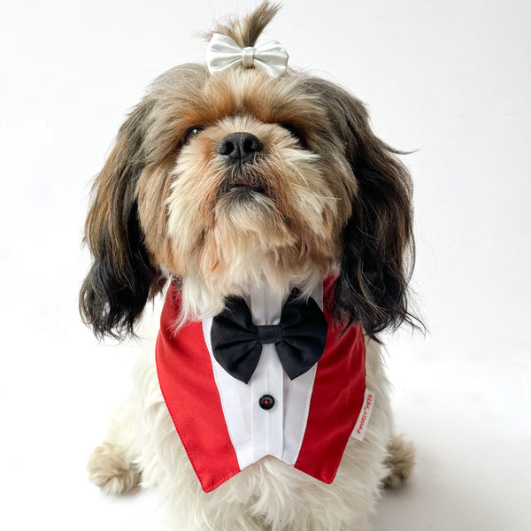 Pawgy Pets Formal Tux Bandana for Dog - Red