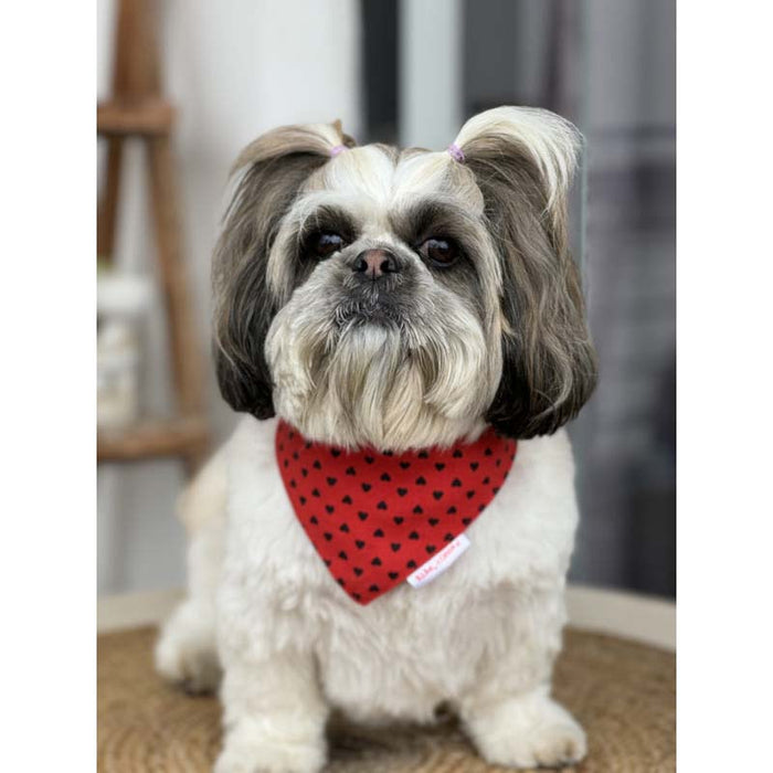 Pawgy Pets Red Heart Bandana for Dog