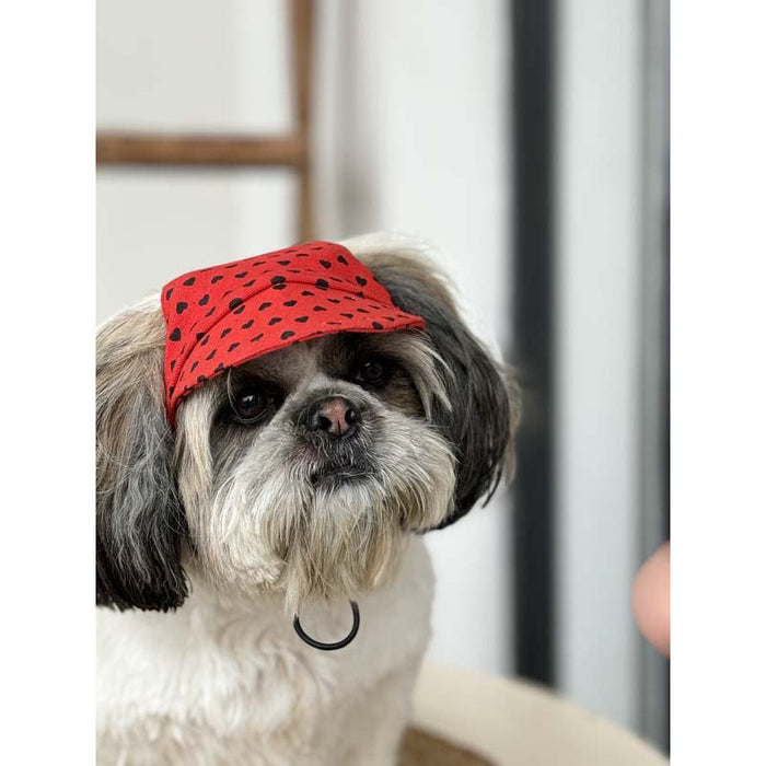 Pawgy Pets Red Heart Cap for Dog