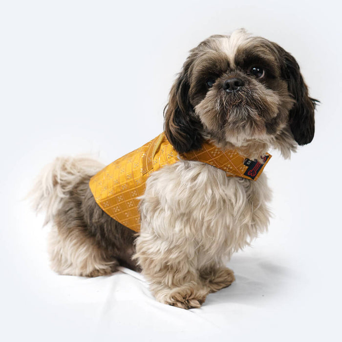 Pawgy Pets Casual Strapy Sherwani For Dog - Mustard