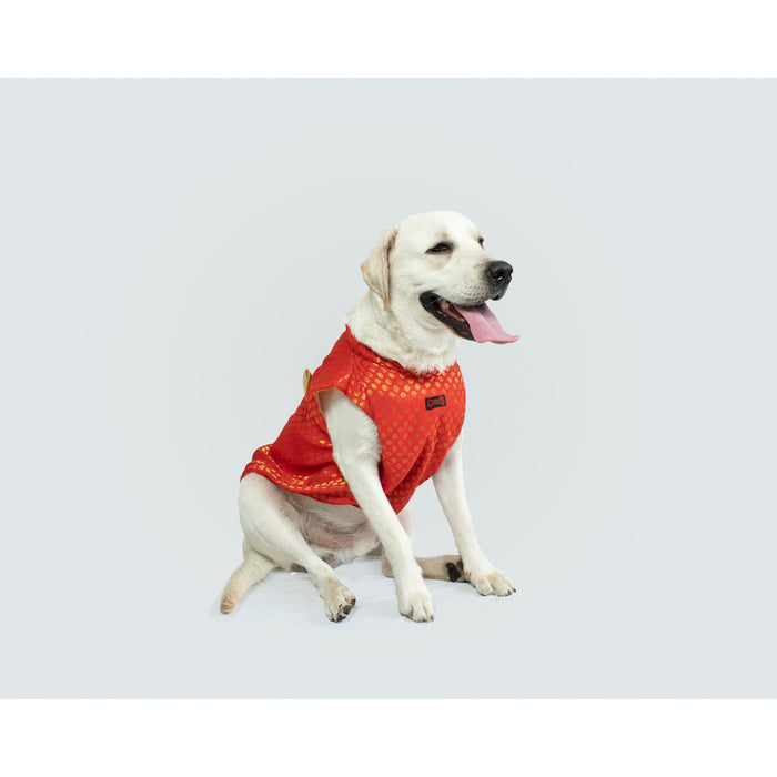 Pawgy Pets Sherwani For Dog - Red