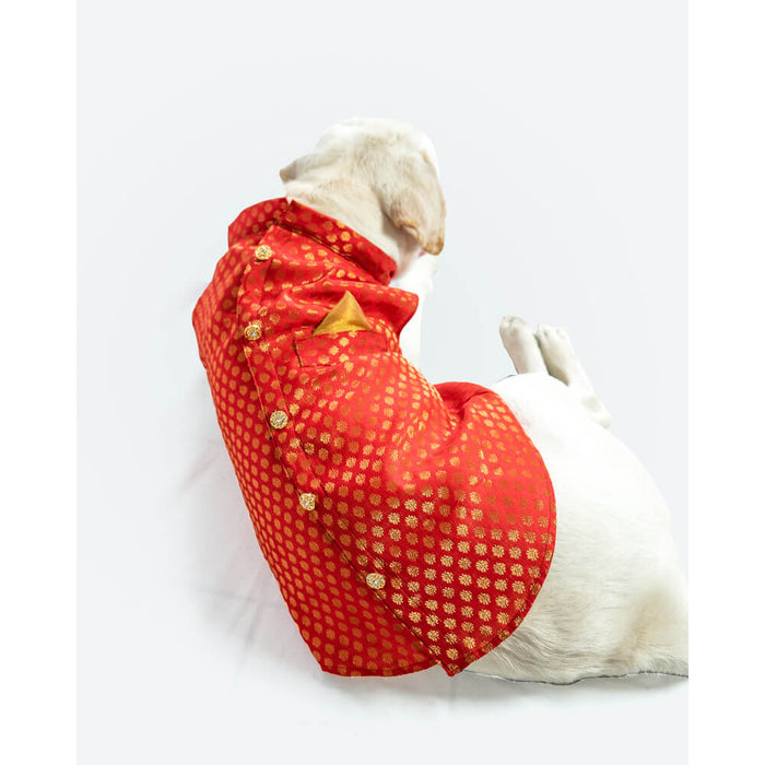 Pawgy Pets Sherwani For Dog - Red