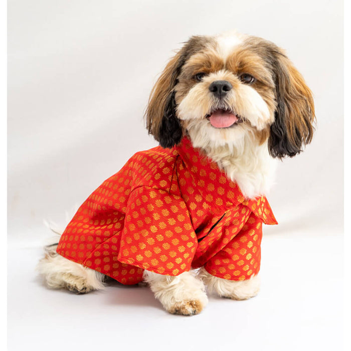 Pawgy Pets Occasion Wear Shirt For Dog - Red