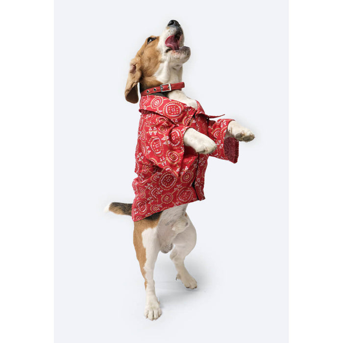 Pawgy Pets Bandhej Shirt For Dog, Cat - Red