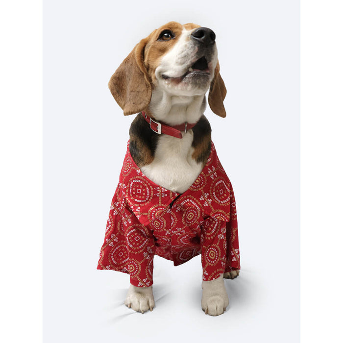 Pawgy Pets Bandhej Shirt For Dog, Cat - Red