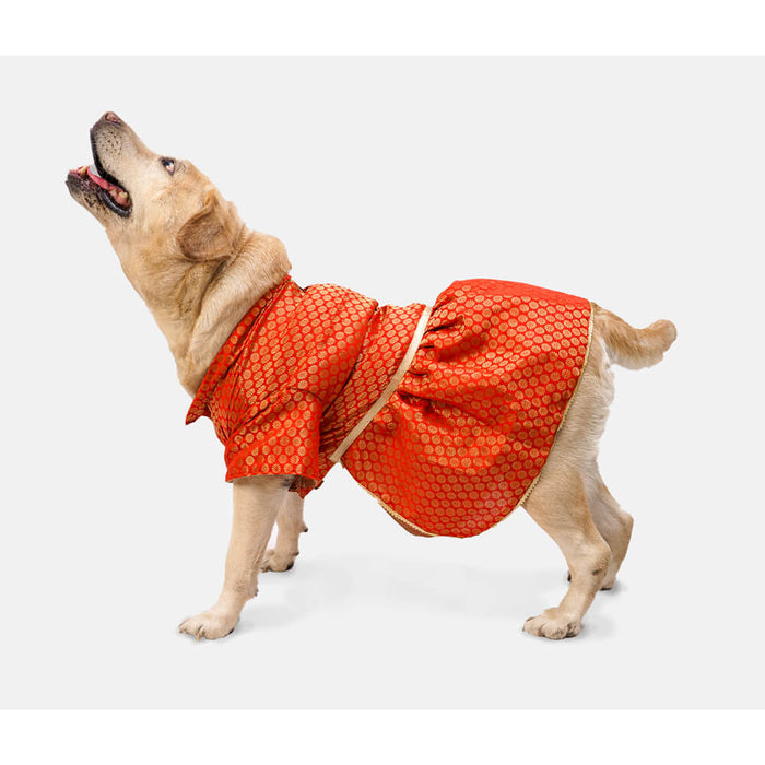 Pawgy Pets Occasion wear Dress For Dog - Red