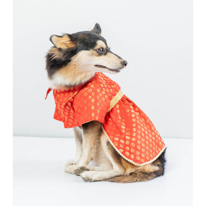 Pawgy Pets Occasion wear Dress For Dog - Red