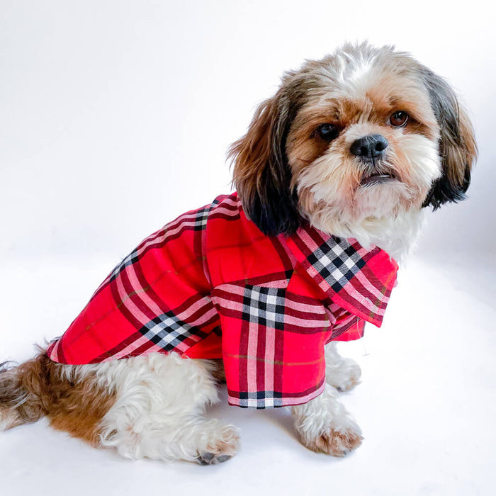 Pawgy Pets Checks Print Casual Shirts For Dog - Red