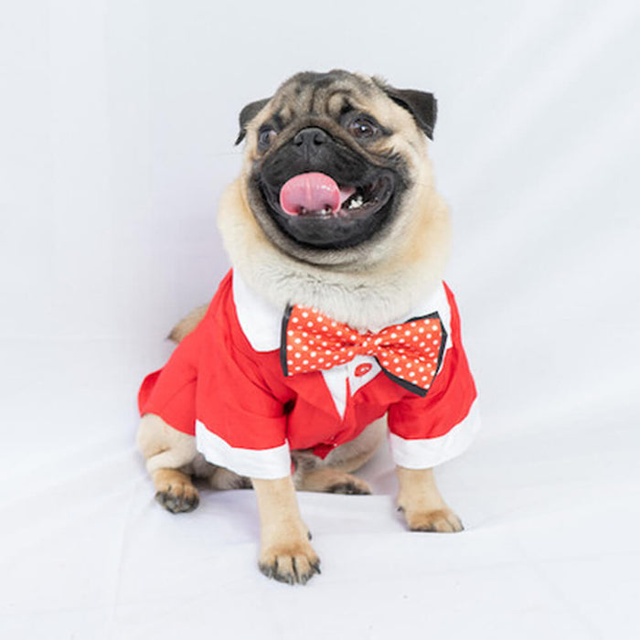 Pawgy Pets Tuxedo Formal Shirt For Dog - Red