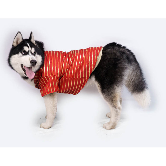 Pawgy Pets Occasion Wear Shirt For Dog, Cat - Red Gota