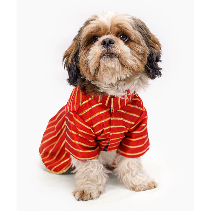 Pawgy Pets Occasion wear Dress For Dog - Red Gota