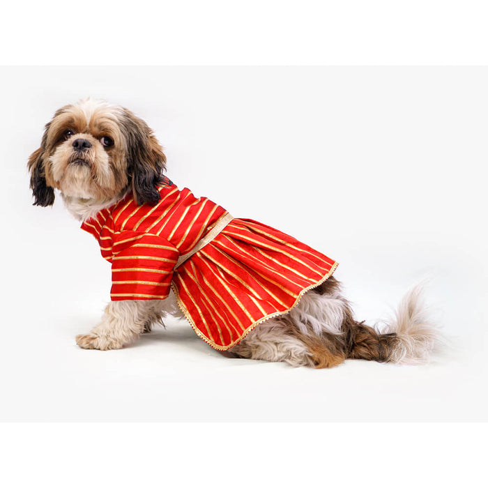 Pawgy Pets Occasion wear Dress For Dog - Red Gota
