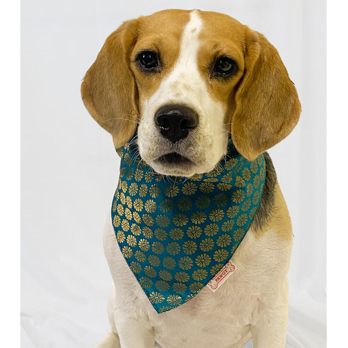 Pawgy Pets Occasion Wear Bandana For Dog - Teal Blue