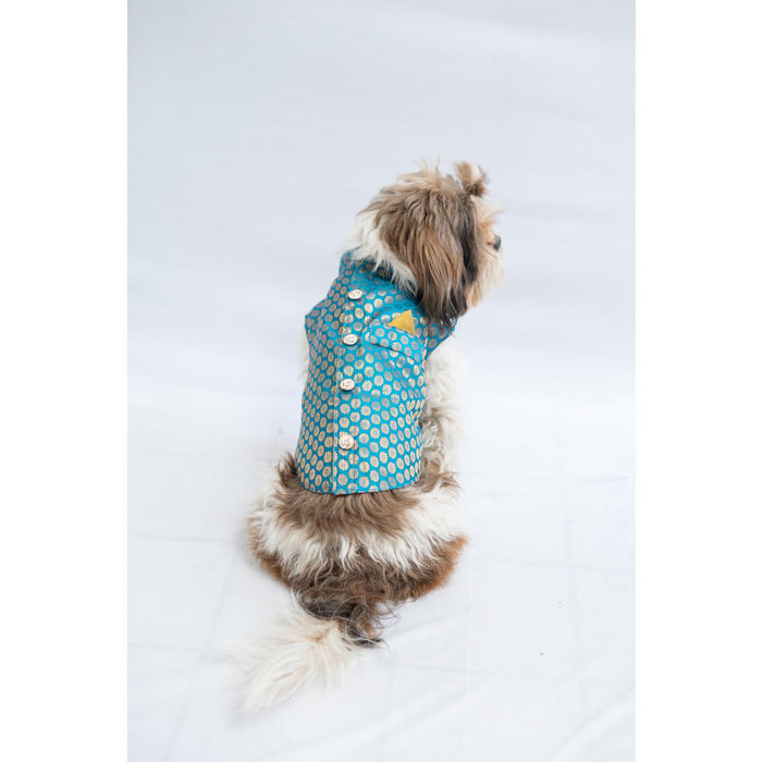Pawgy Pets Sherwani For Dog - Teal Blue