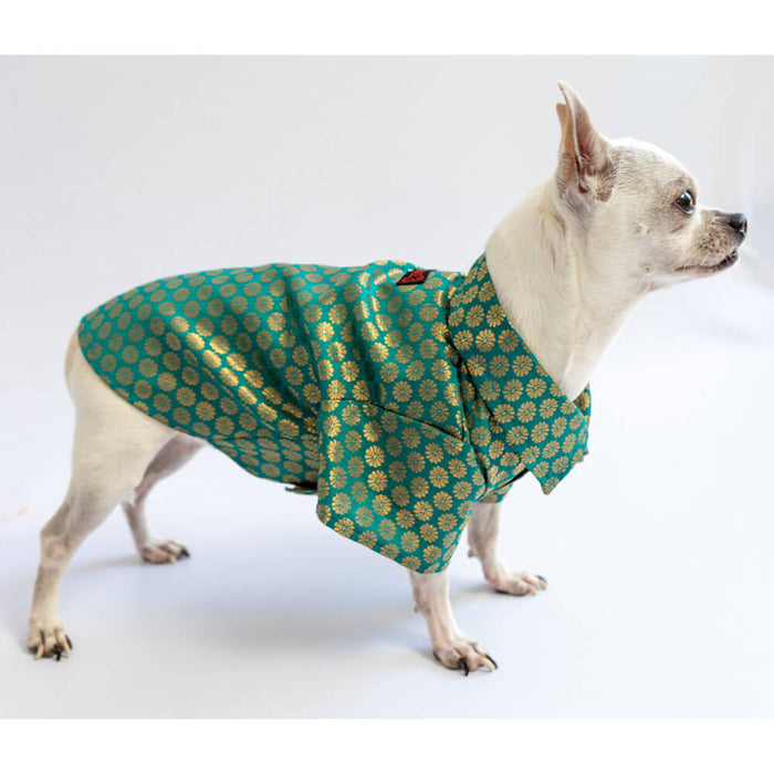 Pawgy Pets Occasion Wear Shirt For Dog - Teal Blue