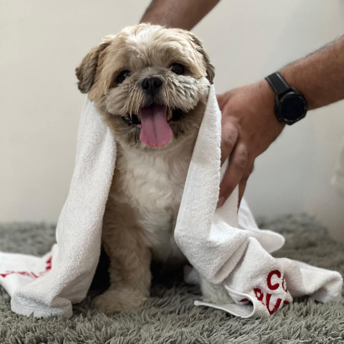 Pawgy Pets Pet Towel For Dog