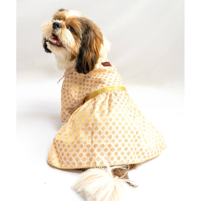 Pawgy Pets Occasion wear Dress For Dog - White