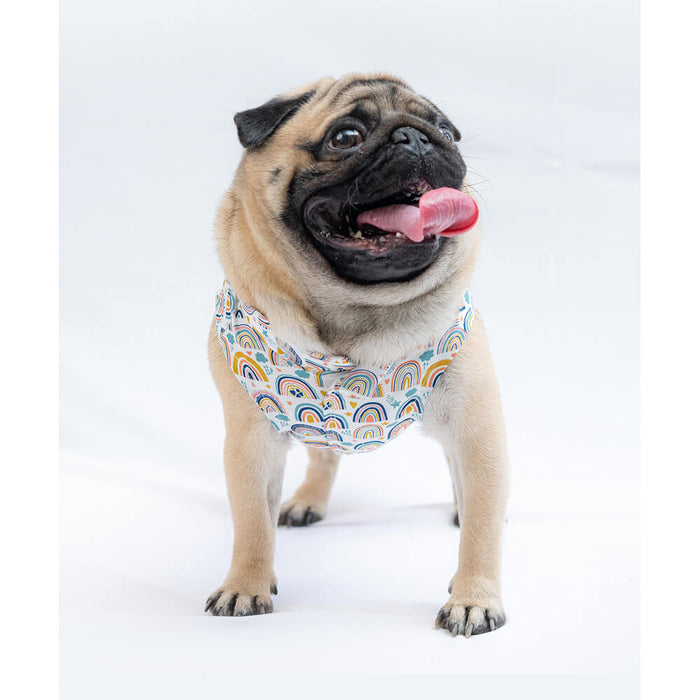 Pawgy Pets White Rainbow Print Casual Sando For Dog