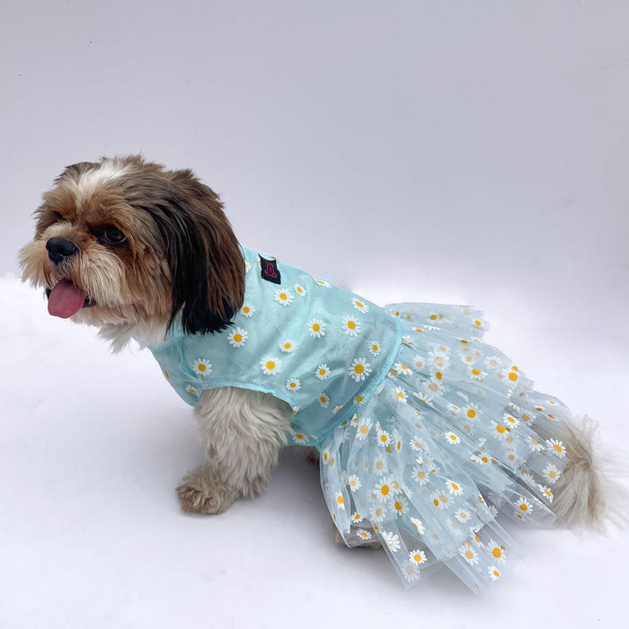 Pawgy Pets Frilly Dress For Dog - Powder Blue