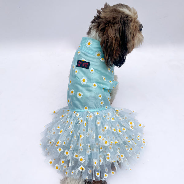 Pawgy Pets Frilly Dress For Dog - Powder Blue