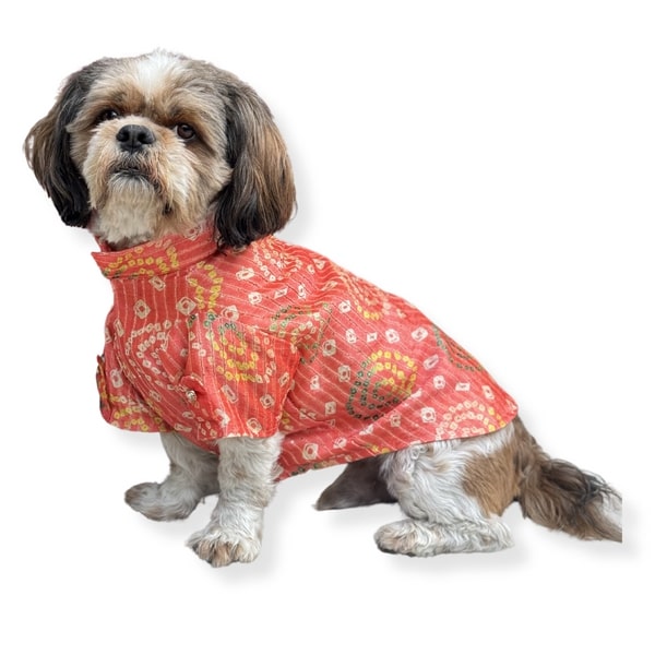 Pawgy Pets Silk Kurta For Dog - Peach