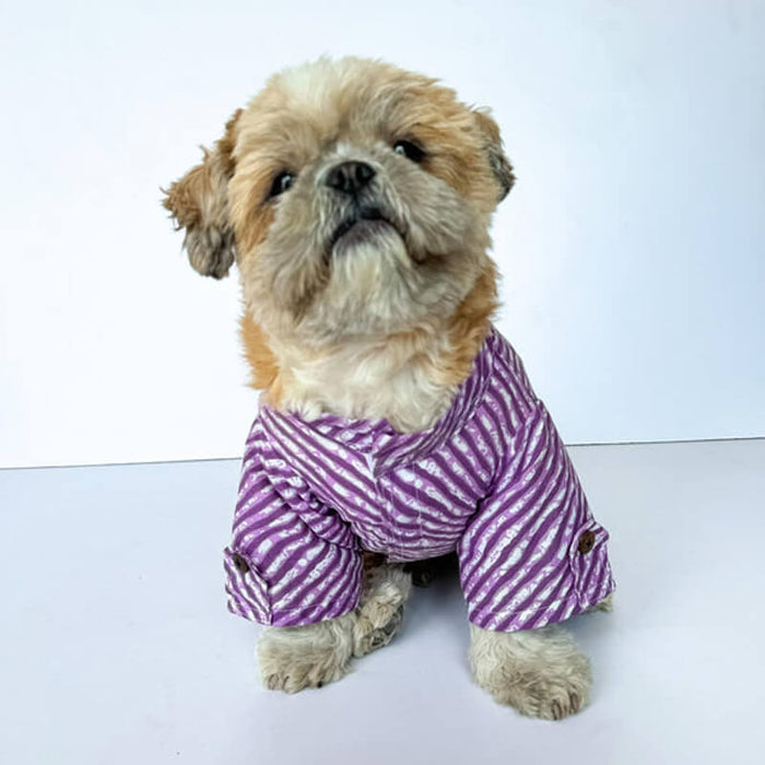 Pawgy Pets Lehriya Kurta For Dog - Purple