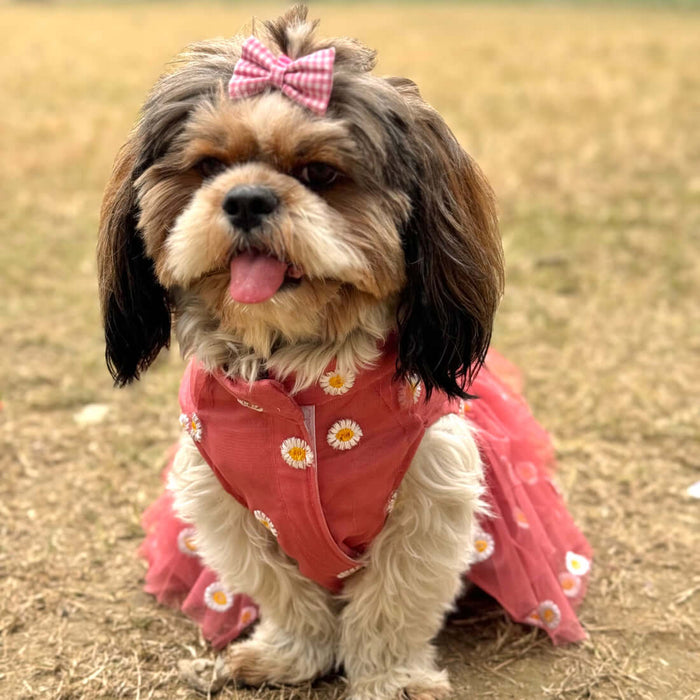 Pawgy Pets Frilly Dress For Dog - Rusty Pink