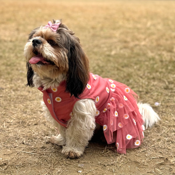 Pawgy Pets Frilly Dress For Dog - Rusty Pink