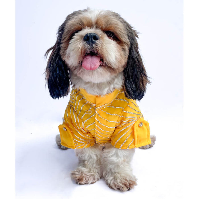 Pawgy Pets Festive Shirt For Dog - Yellow Gota