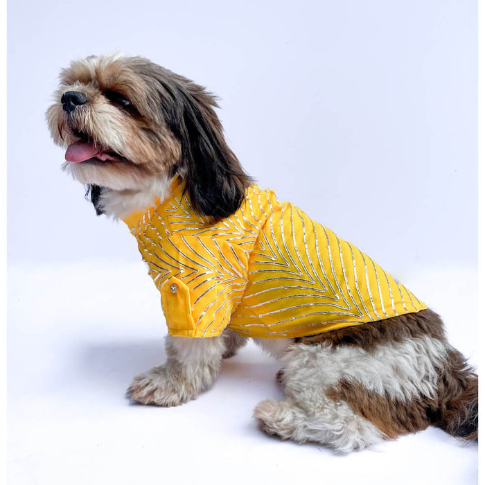 Pawgy Pets Festive Shirt For Dog - Yellow Gota