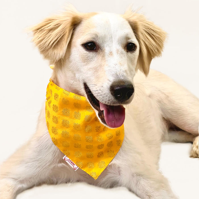 Pawgy Pets Occasion Wear Bandana For Dog - Yellow