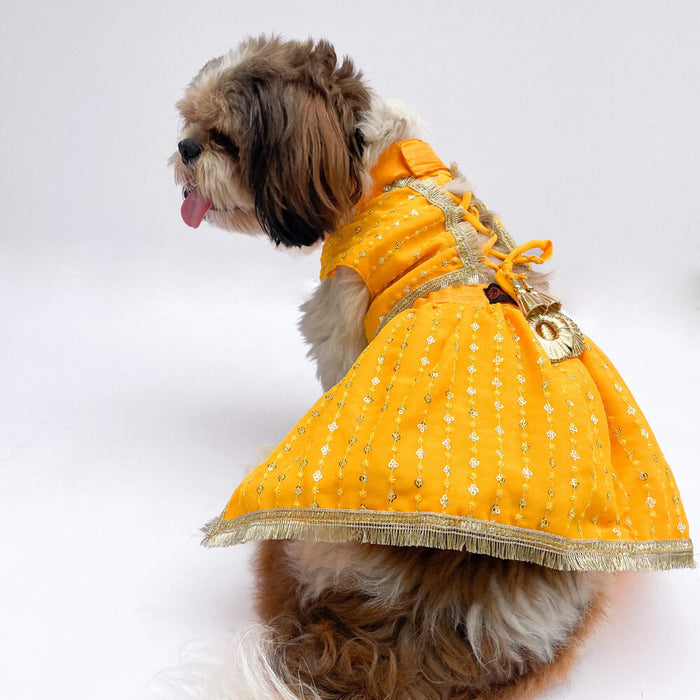 Pawgy Pets Festive Lehenga For Dog - Yellow