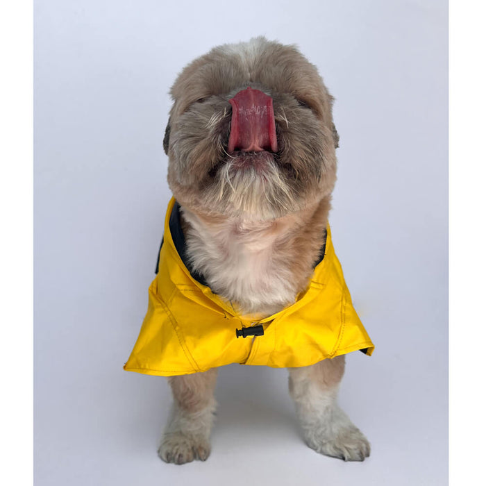 Pawgy Pets Yellow Taxi Raincoat For Dog