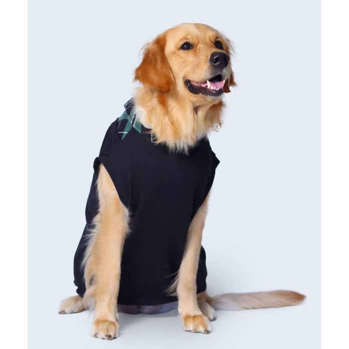 Pet Set Go Polo Knit Dog T-shirt - Black