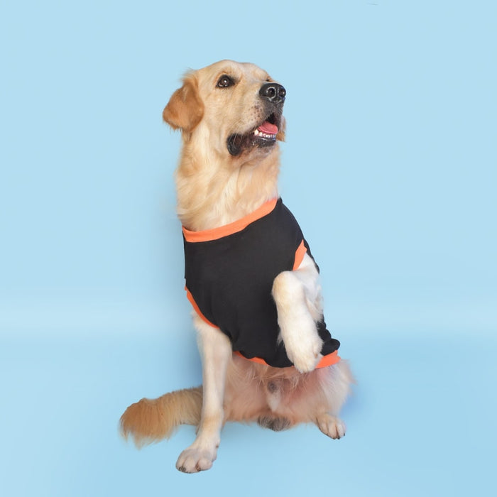 Pet Set Go Prince has Arrived Sleeveless Dog T-Shirt - Black