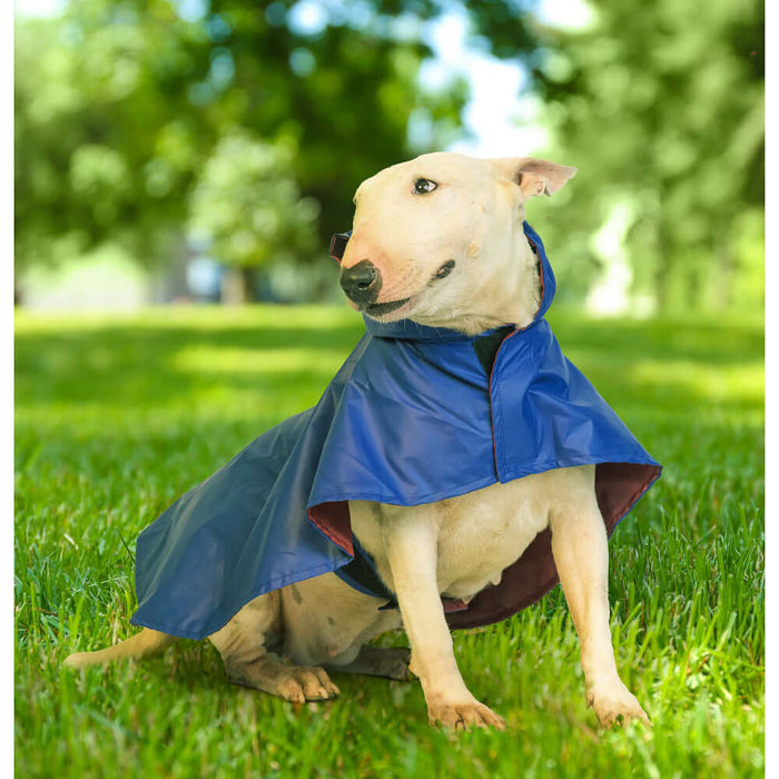 Pet Set Go Cape Style Dog Raincoat - Blue