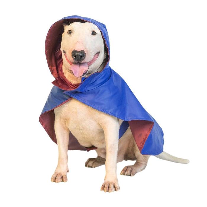 Pet Set Go Cape Style Dog Raincoat - Blue