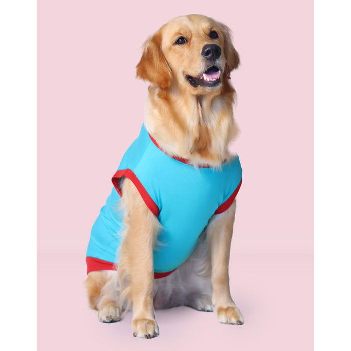 Pet Set Go Favourite Child Dog T-shirt - Blue
