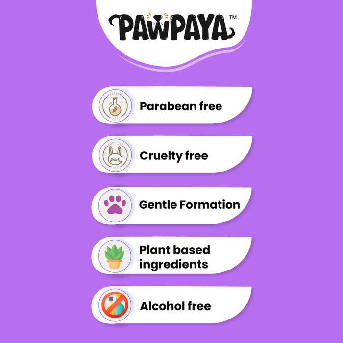 Pawpaya 19 X 16 CM Pet Wipes - 100 Pack Tub