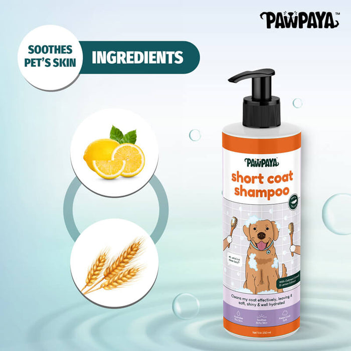 Pawpaya Short Coat Shampoo for Dog - 250 ml