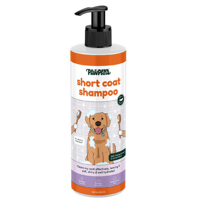 Pawpaya Short Coat Shampoo for Dog - 250 ml