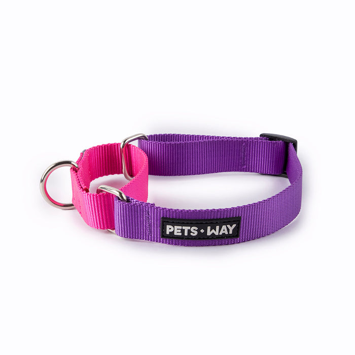 Pets Way Walk Essentials Martingale Collar - Amethyst & Fuschia